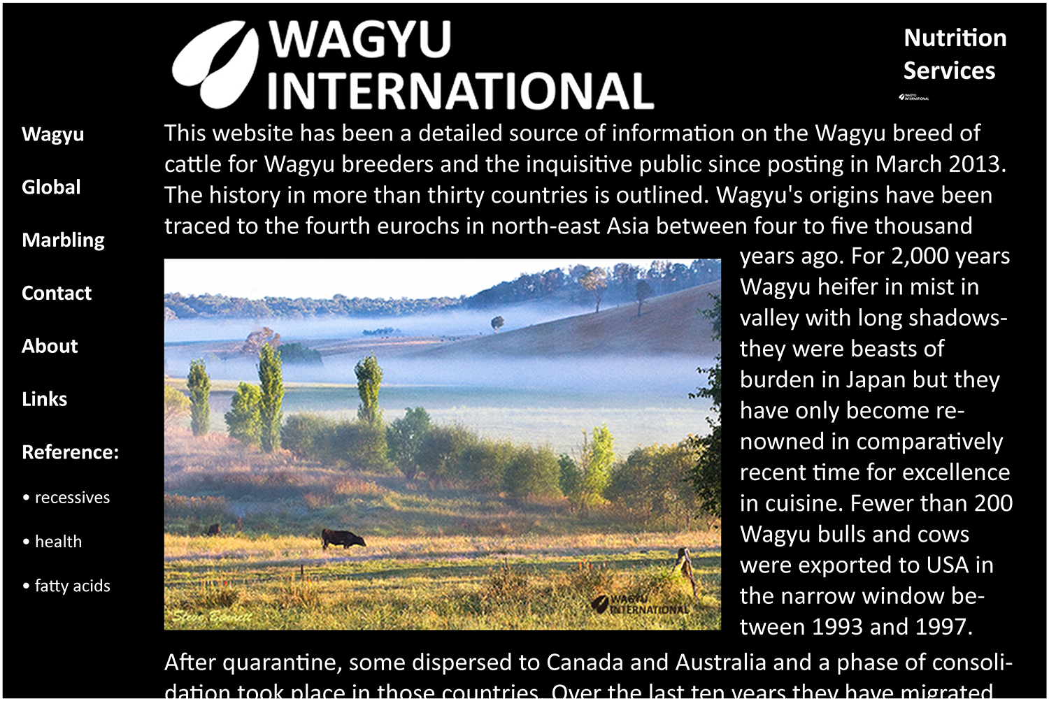 Homepage from Wagyu International the website that Steve designed and powers